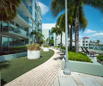 Furnished Apartments For Rent In Davis Islands Tampa Florida 9 Rentals