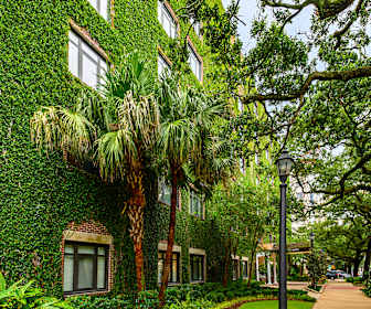 Studio Apartments For Rent In New Orleans La 27 Rentals