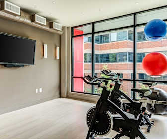 Studio Apartments For Rent In Reston Va 14 Rentals