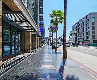 Apartments For Rent In Hollywood Ca 182 Rentals