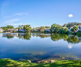 Drew Park Apartments For Rent 71 Apartments Tampa Fl Apartmentguide Com