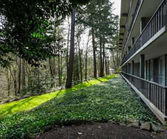 Apartments For Rent In Lake Oswego Or 220 Rentals