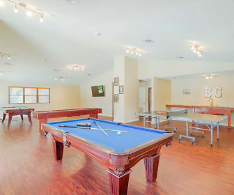 rec room featuring hardwood floors and lofted ceiling, BAY COLONY APARTMENTS