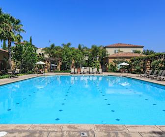 Northwood Apartments For Rent 83 Apartments Irvine Ca