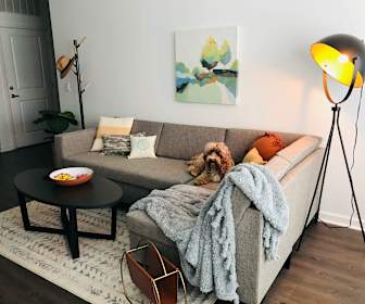 Apartments For Rent In Carrollton Ga 306 Rentals Apartmentguide Com