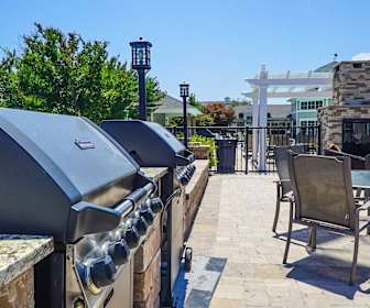 Sandbridge Apartments For Rent 4 Apartments Virginia