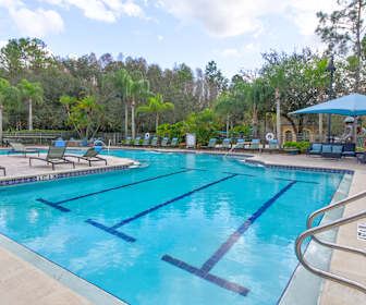 4 Bedroom Apartments For Rent In Tampa Fl