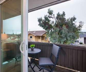 Apartments For Rent In Hayward Ca 564 Rentals Apartmentguide Com