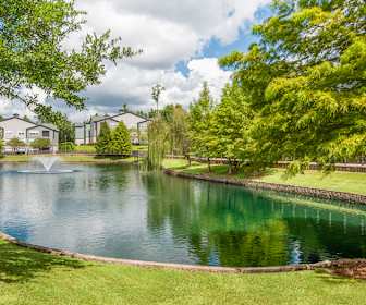 Southwood Apartments For Rent 124 Apartments