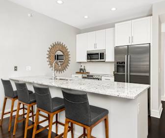 Luxury Apartments For Rent In Streeterville Chicago Illinois 31 Rentals