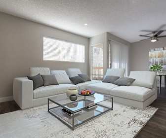 The Modern Cactus, 92262, CA