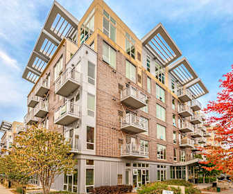 Uptown 1 Bedroom Apartments For Rent Minneapolis Mn 34 Rentals