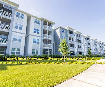 Pet Friendly Apartments For Rent In Orange City Fl