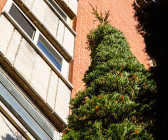 Studio Apartments For Rent In Macon Ga 11 Rentals