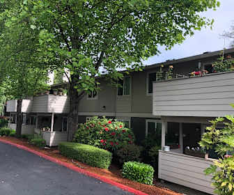 Studio Apartments For Rent In Tigard Or 9 Rentals