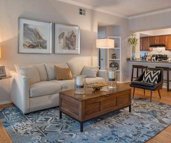 Apartments For Rent In Saint Petersburg Fl 524 Rentals