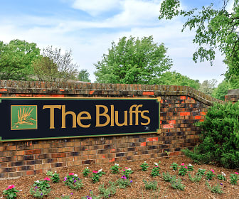 The Bluffs, Michigantown, IN