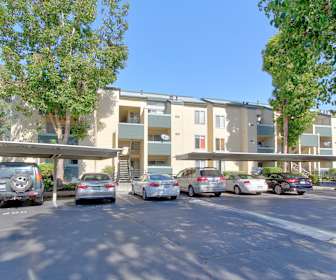 Apartments For Rent In San Leandro Ca 213 Rentals Apartmentguide Com