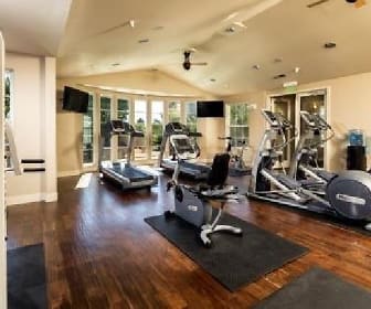 gym with hardwood flooring and TV, Park Central