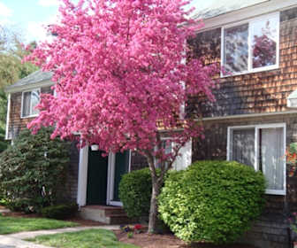 apartments for rent in milford nh 66 rentals apartmentguide com