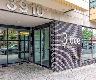 Lofts For Rent In Brookland Washington Dc