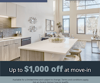 Studio Apartments For Rent In Westminster Co 61 Rentals