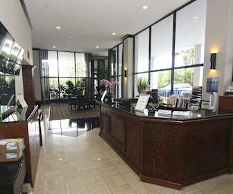 Lake Eola Heights Apartments For Rent 273 Apartments Orlando