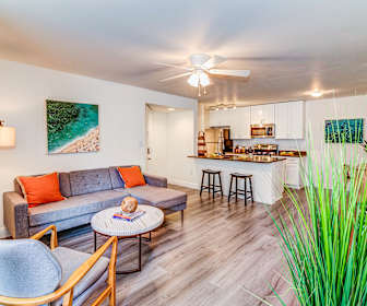 2 Bedroom Apartments For Rent In Sunrise Fl 116 Rentals