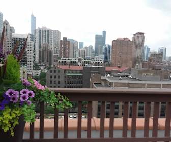 Cheap Apartments For Rent In Downtown Chicago Illinois 115 Rentals