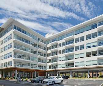 Apartments For Rent In Edgewater Nj 252 Rentals