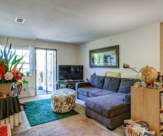 Apartments For Rent In South Haven Mi 79 Rentals