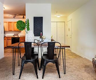 Apartments For Rent In Camden Wyoming De 96 Rentals Apartmentguide Com