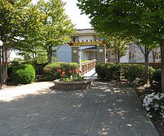 Ivy Ridge, Laurelhurst Elementary School, Seattle, WA
