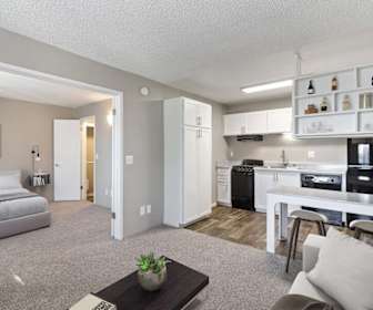 East Las Vegas 1 Bedroom Apartments For Rent Las Vegas Nv 50 Rentals