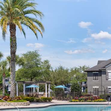 Colonial Grand At Seven Oaks Apartments Wesley Chapel