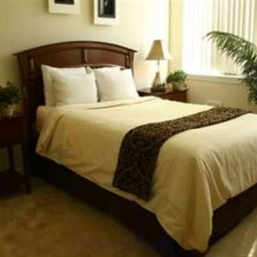 Citrus Meadows Apartments Bradenton Fl 34208