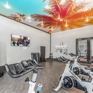 Canopy At Citrus Park Apartments Tampa Fl 33625