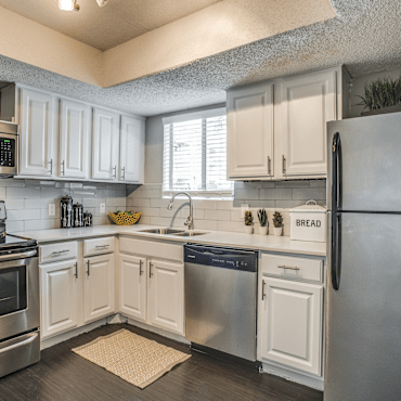 Apex Apartments - Dallas, TX 75243