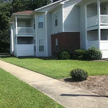 The Trellis Apartments Greenville Nc 27858