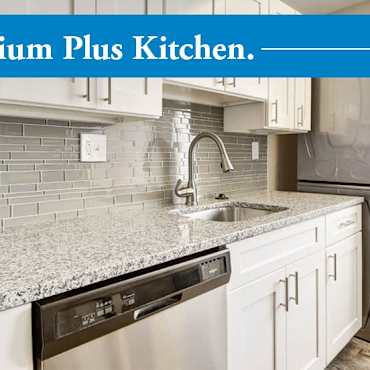 Apartments For Rent In Nottingham Md 704 Rentals Apartmentguide Com