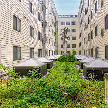 3tree Flats Apartments Washington Dc 20011