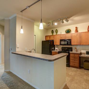 Hamlin At Lake Brandon Apartments Brandon Fl 33511