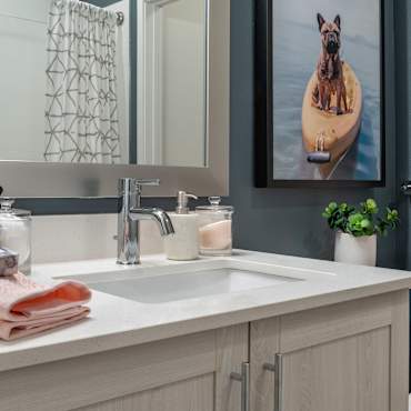 Essex Luxe Apartments Orlando Fl 32819