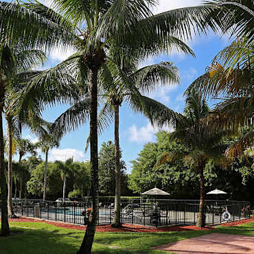 Boca Villa Apartments Boca Raton Fl 33487