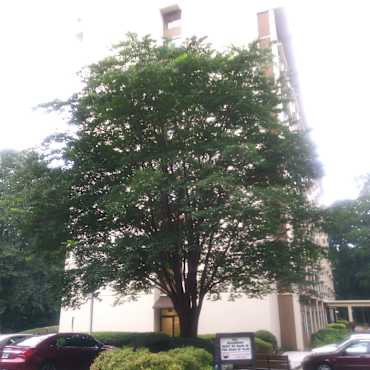 Smyrna Towers Apartments Smyrna Ga 30080