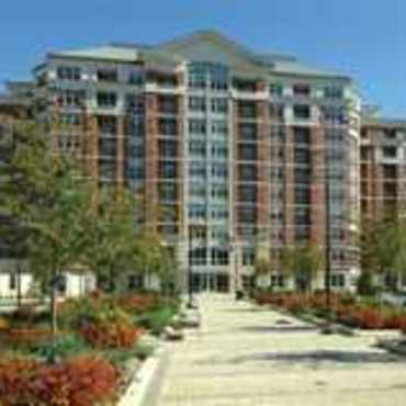 The Mercer Apartments - Reston, VA 20191