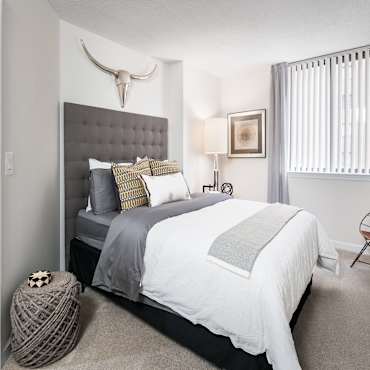 Ballston Virginia Square Apartments For Rent 250 Apartments Arlington Va Apartmentguide Com