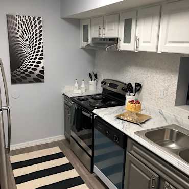 Buena Vista Apartments Tampa Fl 33603