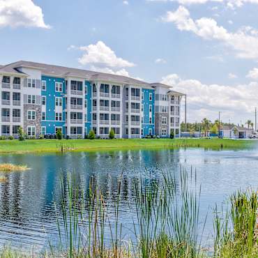 Mystic Pointe Apartments - Land O'lakes, FL 34638