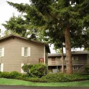 Maple Grove Apartments Steilacoom Wa 98388